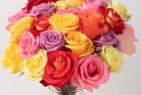 What Do the Different Colors of Roses Symbolize? Complete Flower Guide