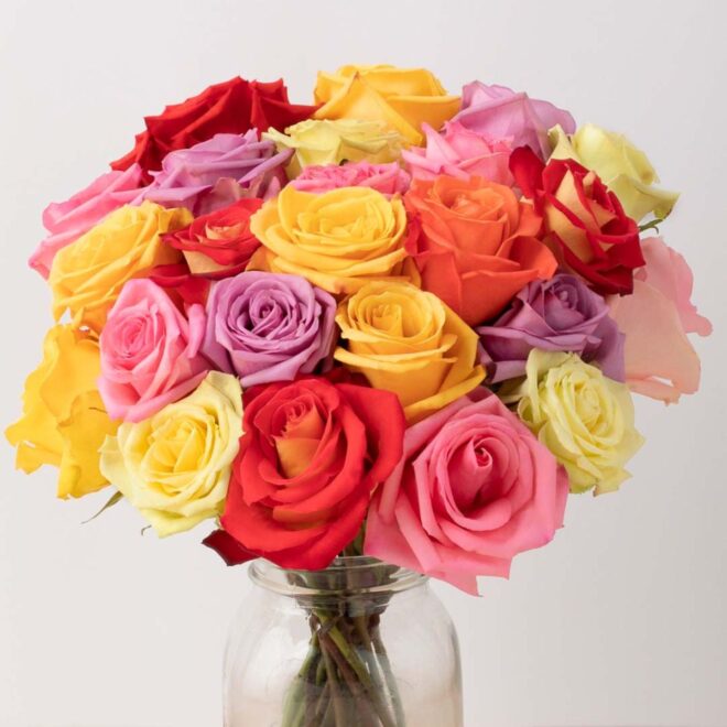 What Do the Different Colors of Roses Symbolize? Complete Flower Guide