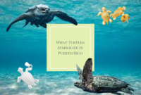 What Do Turtles Symbolize? Longevity Wisdom and Stability