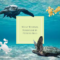 What Do Turtles Symbolize? Longevity Wisdom and Stability