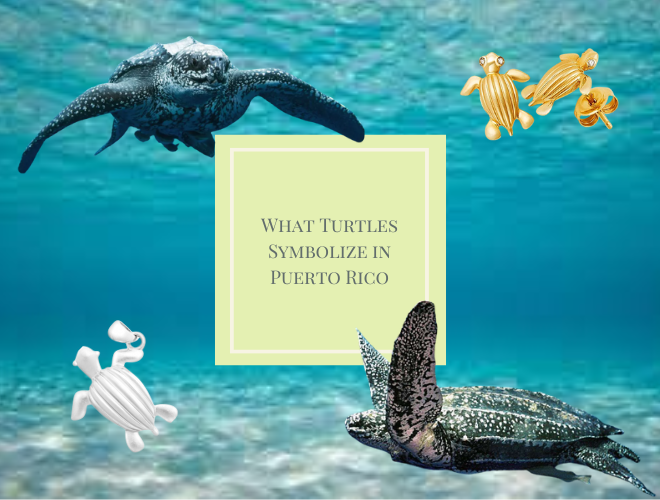 What Do Turtles Symbolize? Longevity Wisdom and Stability