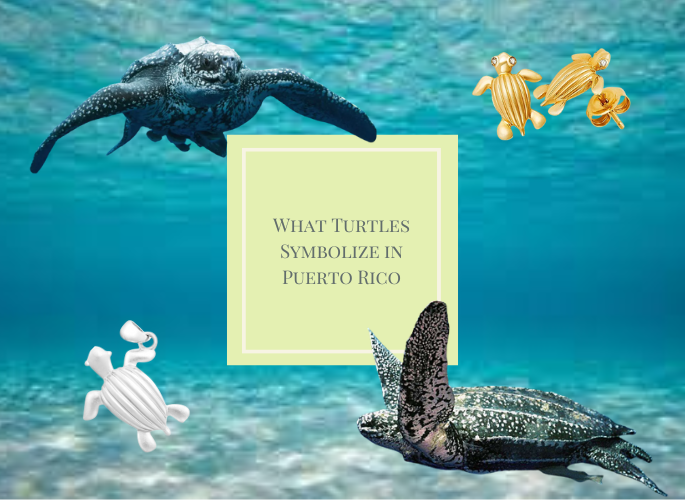 What Do Turtles Symbolize? Longevity Wisdom and Stability