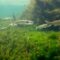 What Do Mullet Eat? Feeding Habits in Freshwater and Saltwater