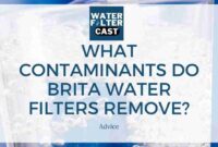 What Do Brita Filters Filter Out? Water Contaminants Explained