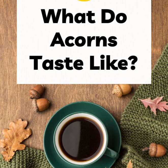 What Do Acorns Taste Like? Flavor Safety and Cooking Tips