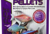 What Do Angelfish Eat? Aquarium Feeding Guide for Healthy Fish