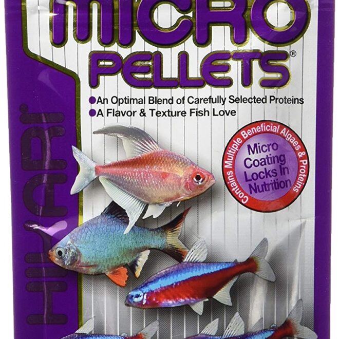 What Do Angelfish Eat? Aquarium Feeding Guide for Healthy Fish