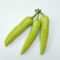 What Do Banana Peppers Taste Like? Heat Level and Flavor Guide