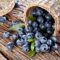What Do Huckleberries Taste Like? Flavor Texture and Best Uses