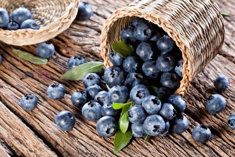What Do Huckleberries Taste Like? Flavor Texture and Best Uses