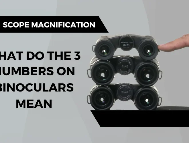 What Do Numbers on Binoculars Mean? Magnification and Lens Guide