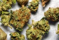 What Does Laced Weed Look Like? Warning Signs and Safety Tips