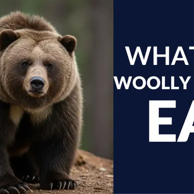 What Do Woolly Bears Eat? Feeding Habits and Life Cycle Explained