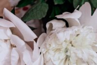 What Do White Flowers Symbolize? Purity Sympathy and New Beginnings