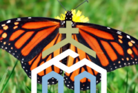 What Do Monarch Butterflies Symbolize? Transformation and Hope Meaning