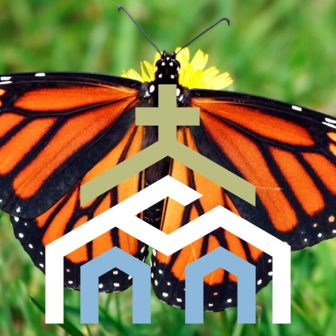 What Do Monarch Butterflies Symbolize? Transformation and Hope Meaning