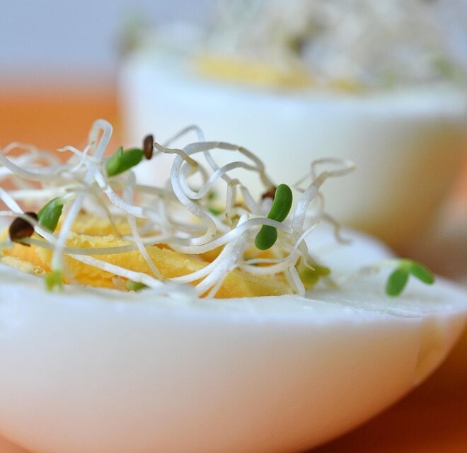 What Do Crickets Eat? Natural Diets and Easy Feeding Tips