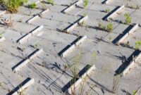 What Do Anchorages in Bridges Do? How They Hold Massive Structures Together