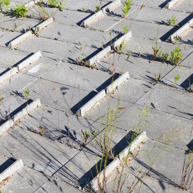 What Do Anchorages in Bridges Do? How They Hold Massive Structures Together