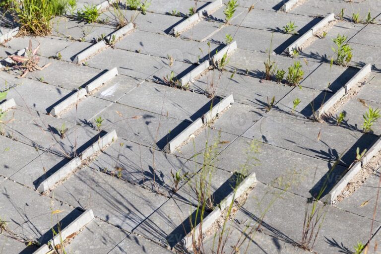 What Do Anchorages in Bridges Do? How They Hold Massive Structures Together