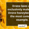 What Do Male Bees Do? Inside the Role of Drone Bees
