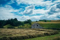 Converting Agricultural Buildings to Residential Use: Rules and Costs