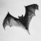 What Do Bats Symbolize? Mystery Rebirth and Cultural Meanings