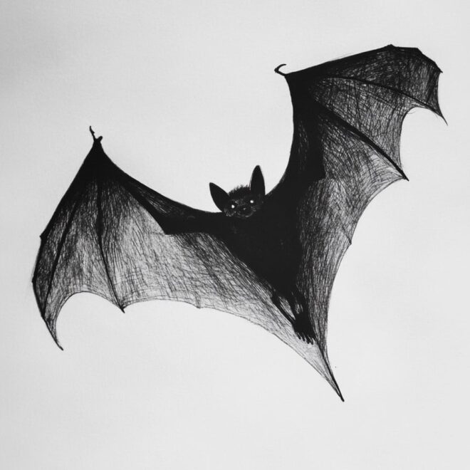 What Do Bats Symbolize? Mystery Rebirth and Cultural Meanings