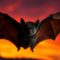 What Do Bats Signify? Spiritual Meaning and Cultural Symbolism