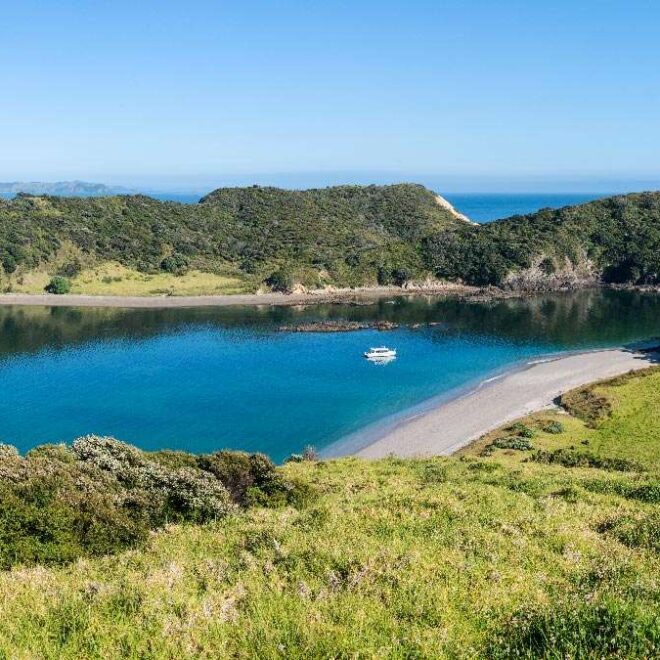 Apartment Buildings Near Grand Central: Best Places to Live and Rent