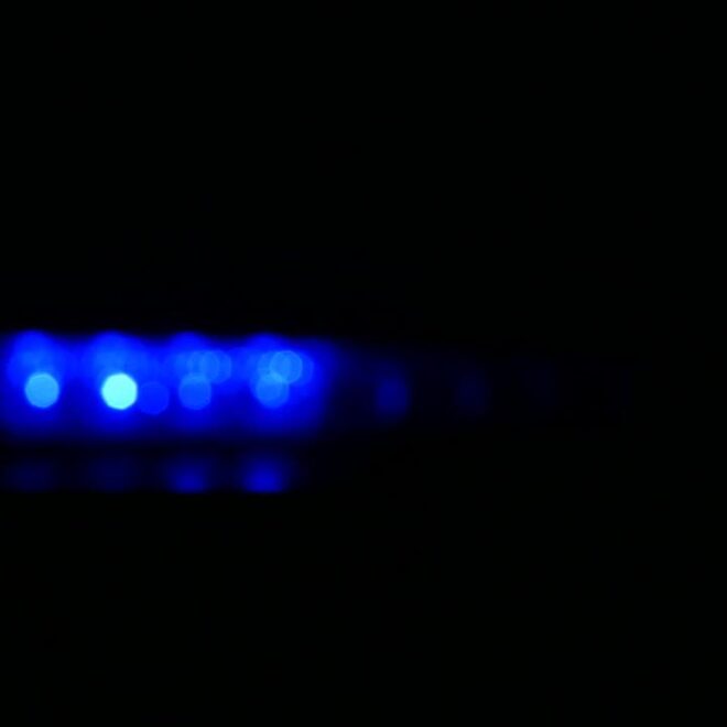 What Do Blue Lights on Porches Mean? Awareness Campaigns Explained