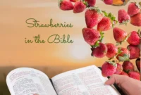 What Do Strawberries Represent? Love Purity and Prosperity Symbolism