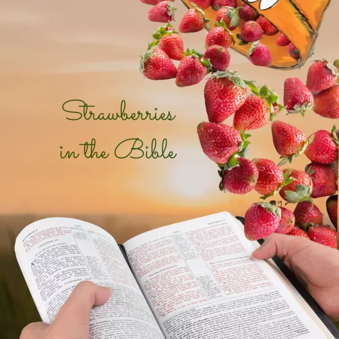 What Do Strawberries Represent? Love Purity and Prosperity Symbolism