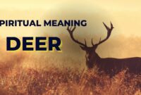 What Do Deer Symbolize? Grace Intuition and Spiritual Meaning