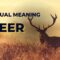 What Do Deer Symbolize? Grace Intuition and Spiritual Meaning