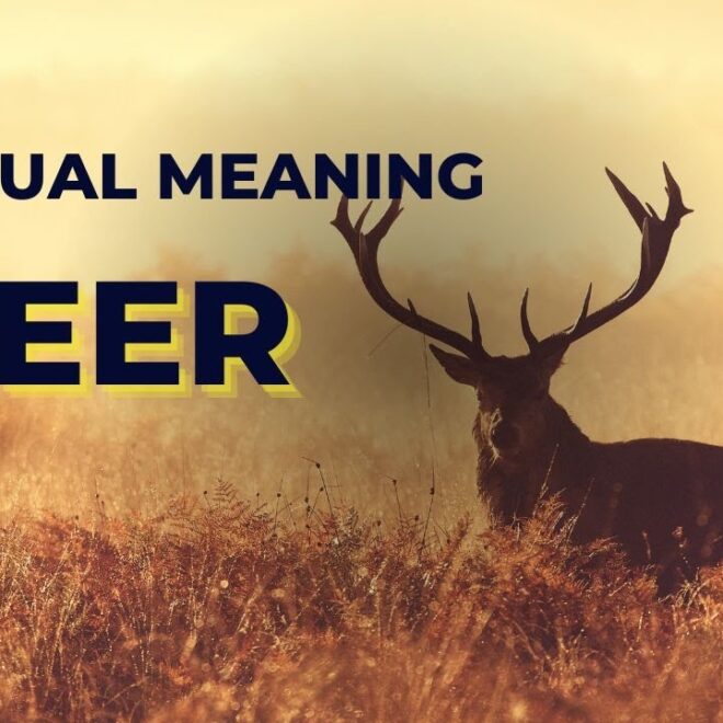 What Do Deer Symbolize? Grace Intuition and Spiritual Meaning