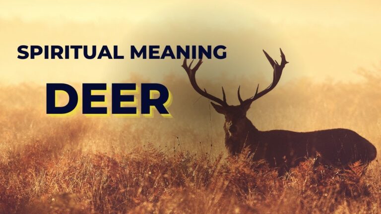 What Do Deer Symbolize? Grace Intuition and Spiritual Meaning