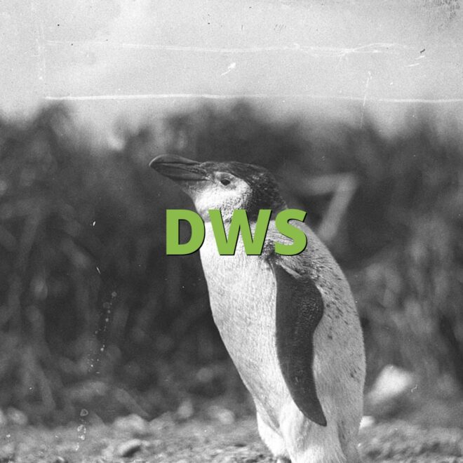 What Does DWS Mean in Text? Slang Meaning and Usage Guide