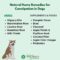 What Do You Do When Your Dog Is Constipated? Safe Remedies and Vet Advice