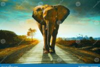 What Do Elephants Signify? Strength Wisdom and Good Fortune