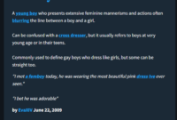 Can a Femboy Be Straight? Common Myths Explained