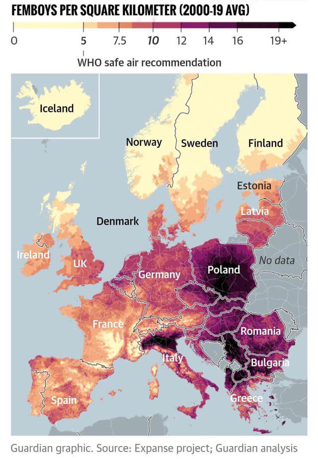 Are There Femboys in My Area? How Online Communities Form