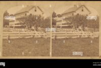 Trees Fences and Buildings as Property: What Counts as Real Property?