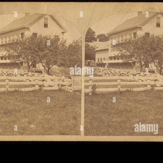 Trees Fences and Buildings as Property: What Counts as Real Property?