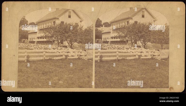 Trees Fences and Buildings as Property: What Counts as Real Property?