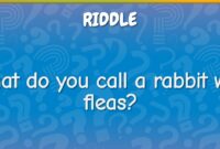 What Do You Call a Rabbit with Fleas? Funny Terms and Real Solutions