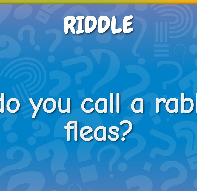 What Do You Call a Rabbit with Fleas? Funny Terms and Real Solutions