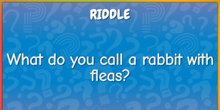 What Do You Call a Rabbit with Fleas? Funny Terms and Real Solutions