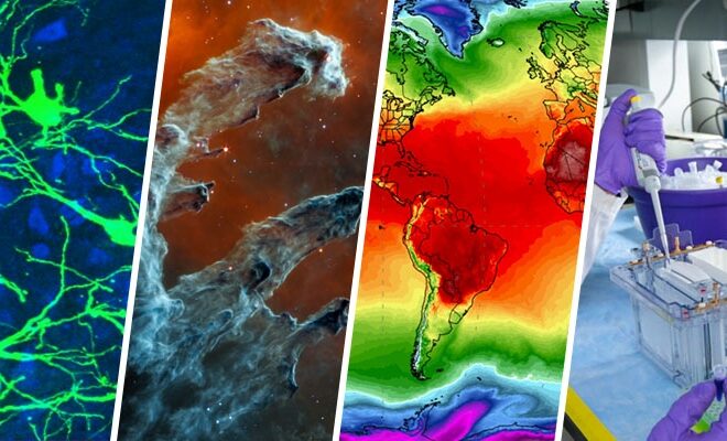 What Do They Teach in Frontiers of Science at Columbia? Course Breakdown