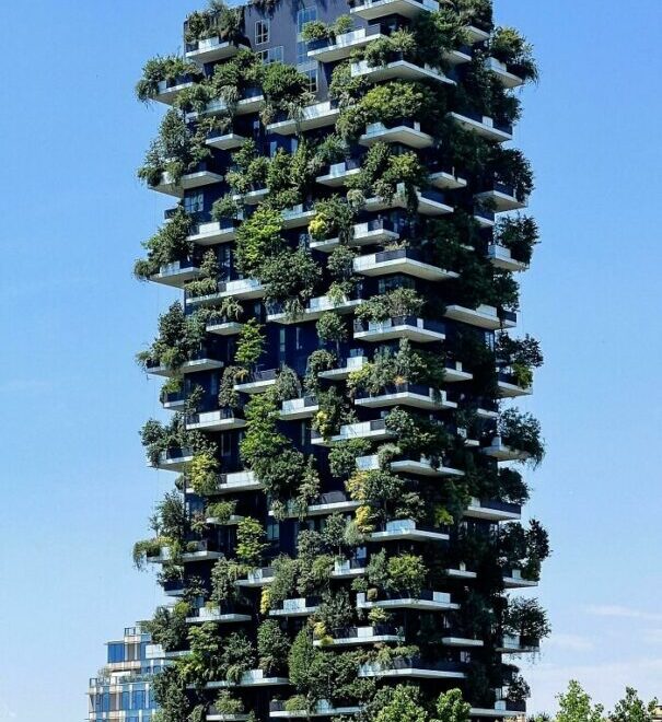 Examples of Buildings With Good Design and Why They Work